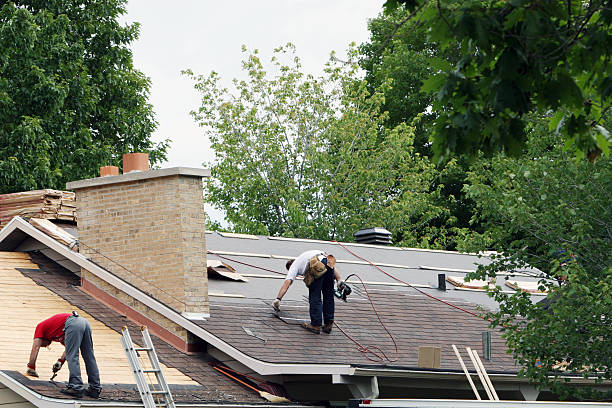 Best Commercial Roofing Services  in Park City, MT