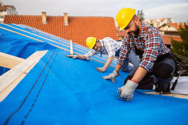Best Storm Damage Roof Repair  in Park City, MT
