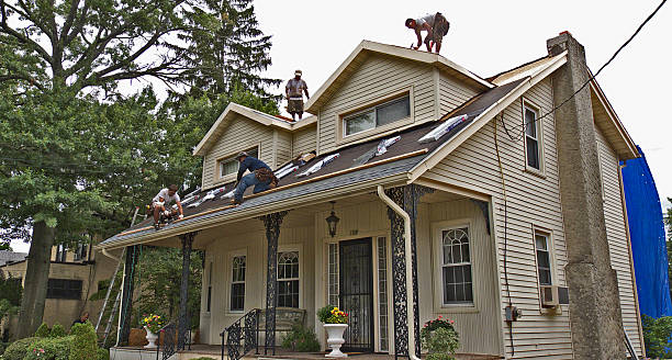 Best Local Roofing Companies  in Park City, MT