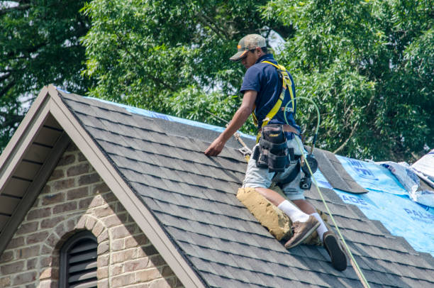 Best Shingle Roofing Installation  in Park City, MT
